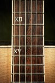 Allan Olsen - ao_flatbush_custom_04.jpg